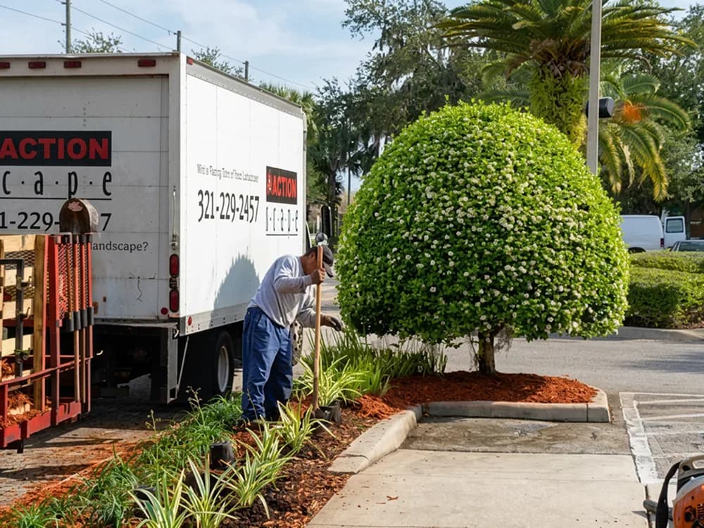Manicured landscape bed and plantings